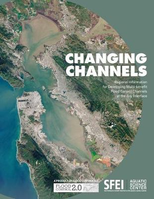 Book cover for Changing Channels