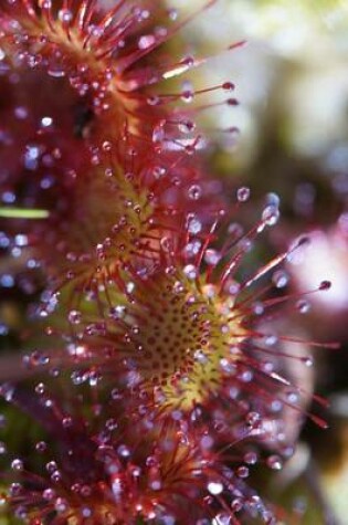 Cover of Sundew Carnivorous Plant, for the Love of Nature