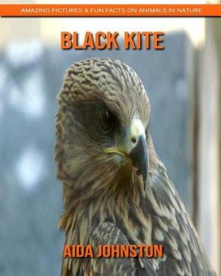 Book cover for Black Kite