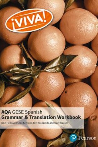 Cover of Viva! AQA GCSE Spanish Grammar and Translation Workbook