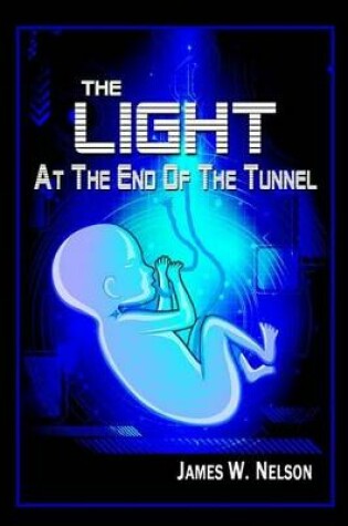 Cover of The Light at the End of the Tunnel