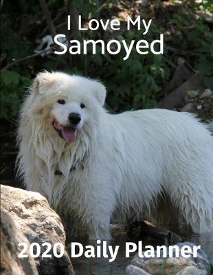 Book cover for I Love My Samoyed