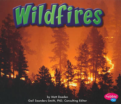 Cover of Wildfires