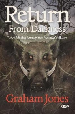 Book cover for Return from Darkness