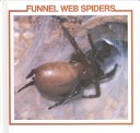 Book cover for Funnel Web Spiders