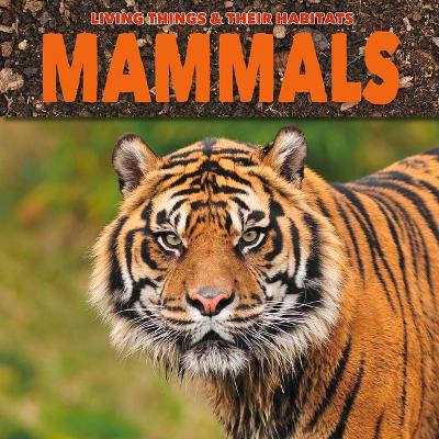 Book cover for Mammals