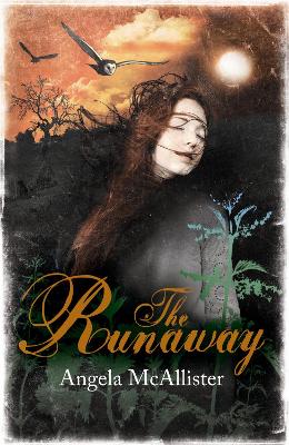 Book cover for The Runaway