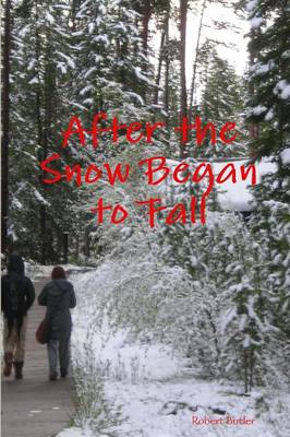 Book cover for After the Snow Began to Fall