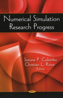 Book cover for Numerical Simulation Research Progress