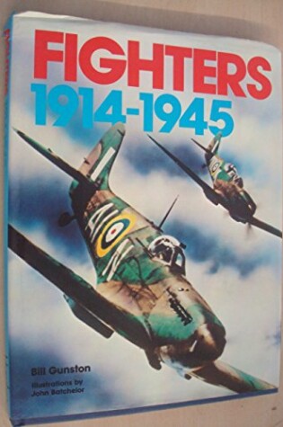 Cover of Fighters, 1914-45
