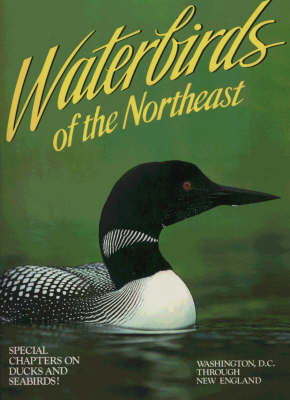 Book cover for Waterbirds of the Northeast