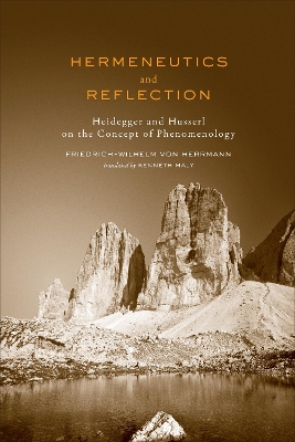 Cover of Hermeneutics and Reflection