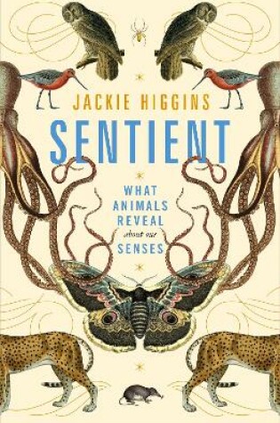 Cover of Sentient