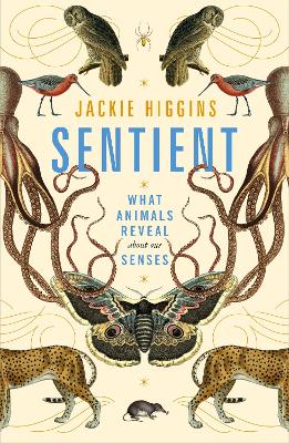 Book cover for Sentient