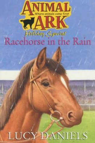 Cover of Racehorse in the Rain