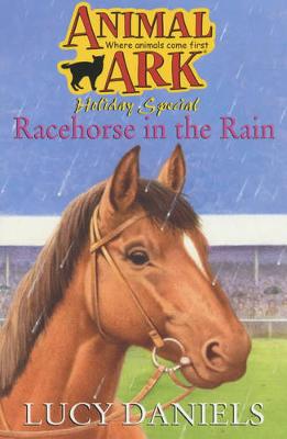 Book cover for Racehorse in the Rain