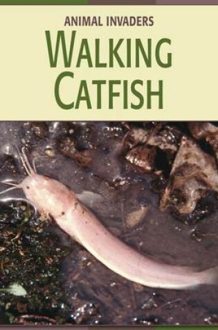 Cover of Walking Catfish