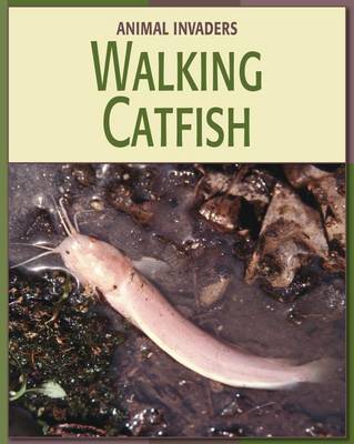 Book cover for Walking Catfish