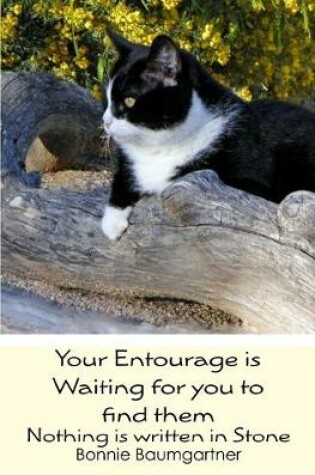 Cover of Your Entourage is Waiting for you to find them