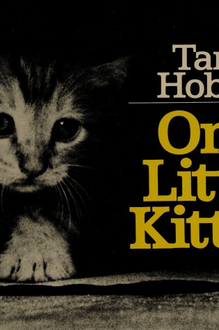 Cover of One Little Kitten