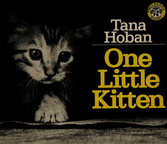 Book cover for One Little Kitten