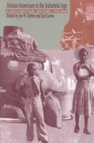 Cover of African Americans in the Industrial Age