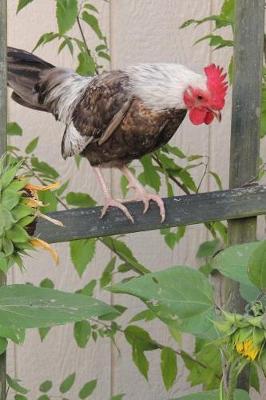 Book cover for Bantam Rooster on a Wooden Fence Country Life Journal