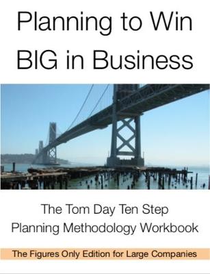 Cover of Planning to Win BIG in Business