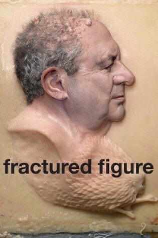 Cover of Fractured Figure: Vol. II