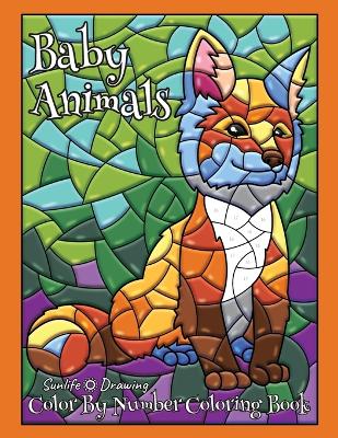 Book cover for Baby Animals Color By Number Coloring Book