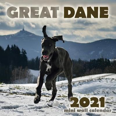 Book cover for Great Dane 2021 Mini Wall Calendar