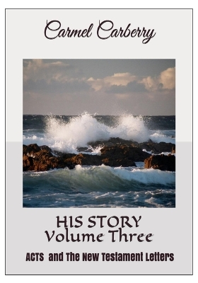 Book cover for HIS STORY Volume Three