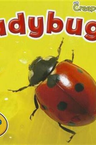 Cover of Ladybugs (Creepy Critters)