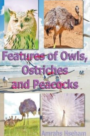 Cover of Features of Owls, Ostriches and Peacocks