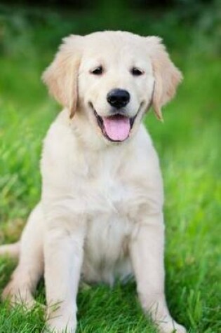 Cover of Golden Retriever Portrait Dog Journal