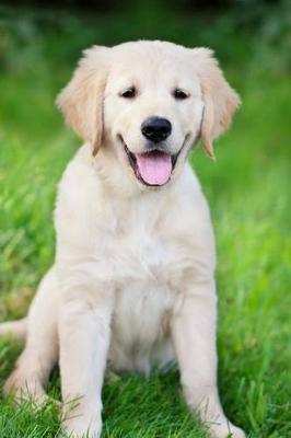 Book cover for Golden Retriever Portrait Dog Journal