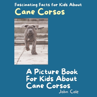 Book cover for A Picture Book for Kids About Cane Corsos