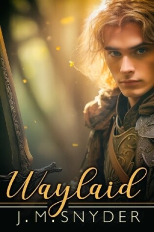 Cover of Waylaid