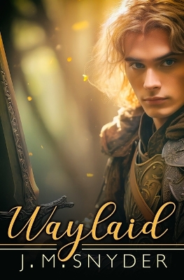 Book cover for Waylaid