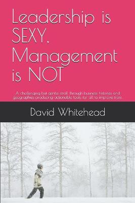 Book cover for Leadership is SEXY, Management is NOT