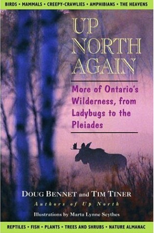 Cover of Up North Again