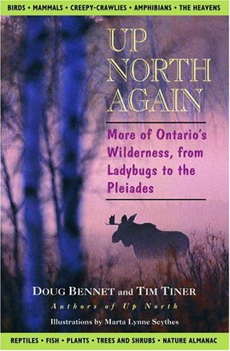 Book cover for Up North Again