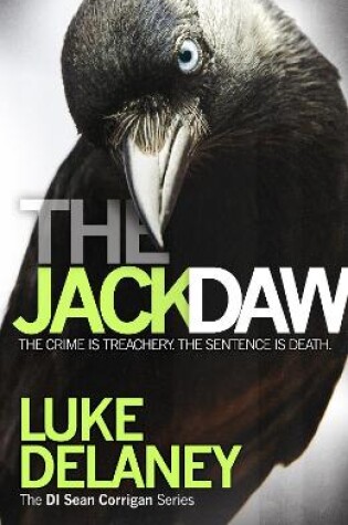 Cover of The Jackdaw