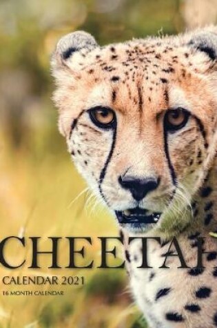 Cover of Cheetah Calendar 2021