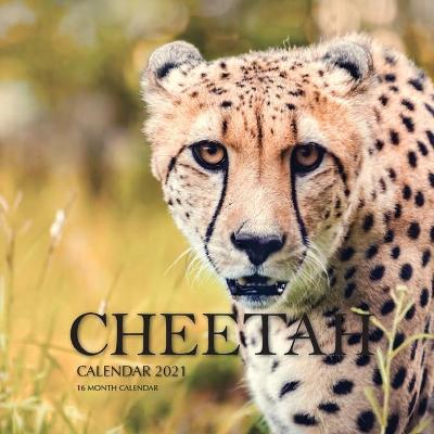 Book cover for Cheetah Calendar 2021