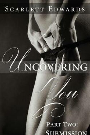 Cover of Uncovering You 2