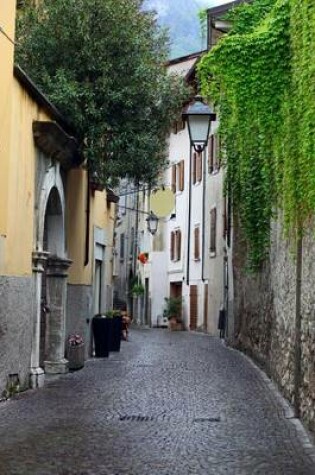 Cover of Narrow Street in Arco, Northern Italy Journal