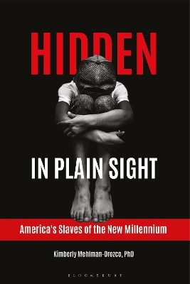 Book cover for Hidden in Plain Sight