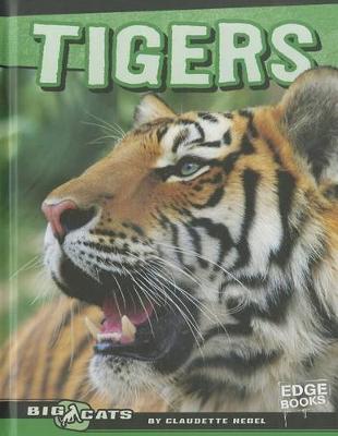 Cover of Tigers