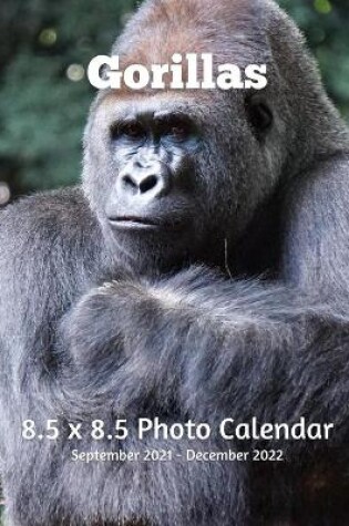 Cover of Gorillas 8.5 X 8.5 Photo Calendar September 2021 -December 2022